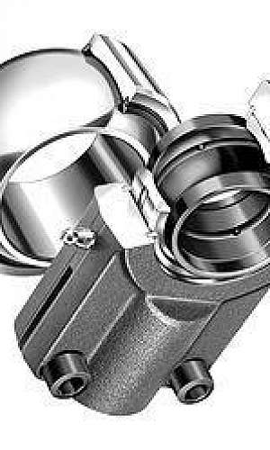 Terminal rotular Terminal rotular